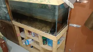 ৩ ফুট বাই ১.৫ ফুট অ্যাকুরিয়াম