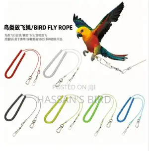 Bird Harness