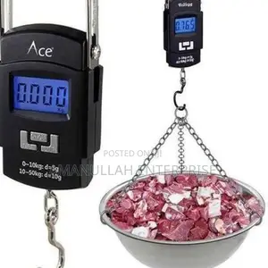 Portable Digital Pocket Weight Scale