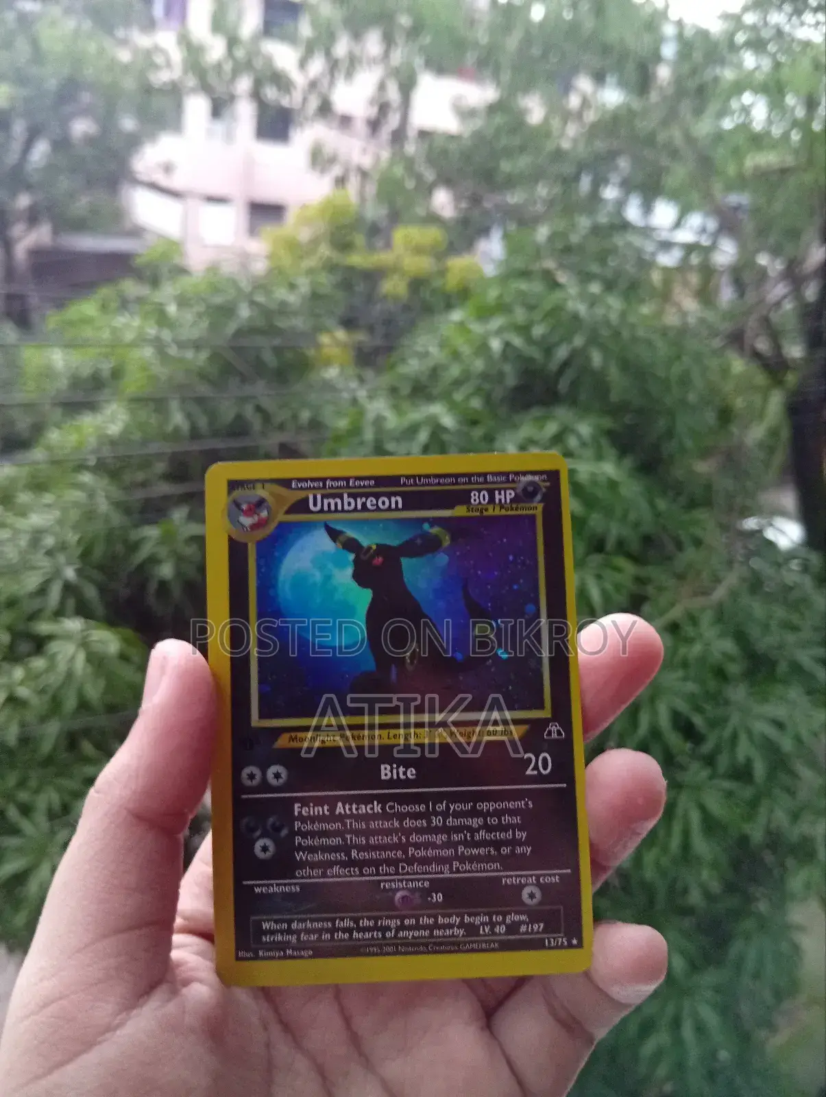 Pokemon Umbreon