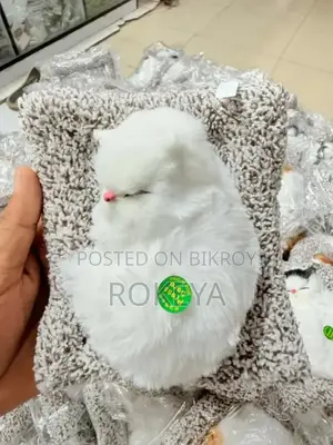 বেবি ক্যাট টয়স