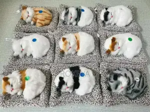 বেবি ক্যাট টয়স