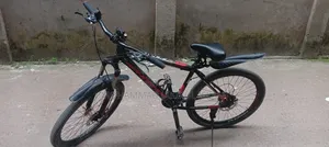 Phoenix Cycle 26inch