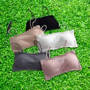 Premium Les Bra Best Quality DJV Fuggbfufg