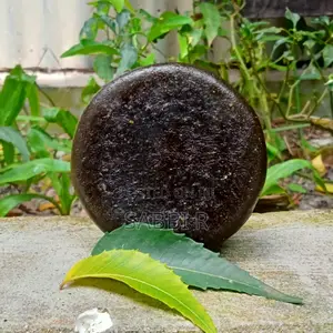 Organic Neem Soap (100g)