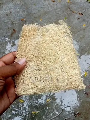Loofah Sponge