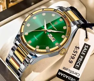 Poedagar Luxury Quartz Wrist Watch for Men Brand New