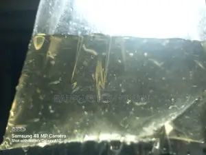 Guppy Fry 0-20 (500 Pcs)
