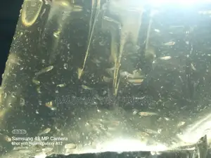 Guppy Fry 0-20 (500 Pcs)