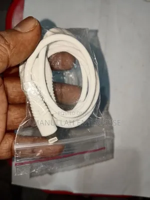 Apple Lightning To Usb Cable.