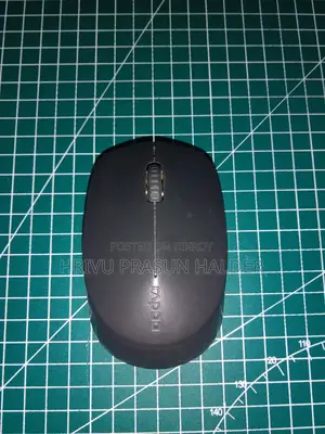 Rapoo Bluetooth Mouse