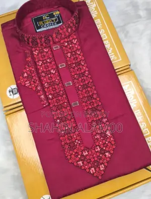 Sequence Embroidery Panjabi