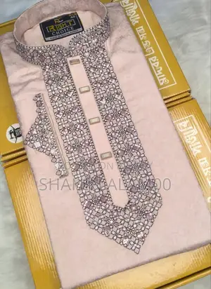 Sequence Embroidery Panjabi