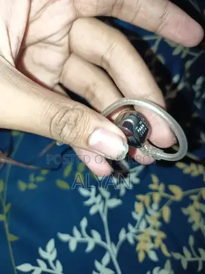 কেজেড কাস্টরস