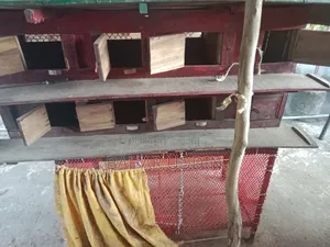 কবুতরের খোপ