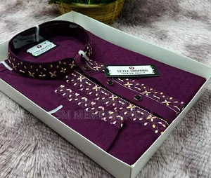 Sequence Embroidery Panjabi