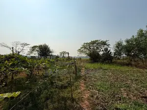 মিলিয়ন সিটি