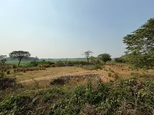 মিলিয়ন সিটি