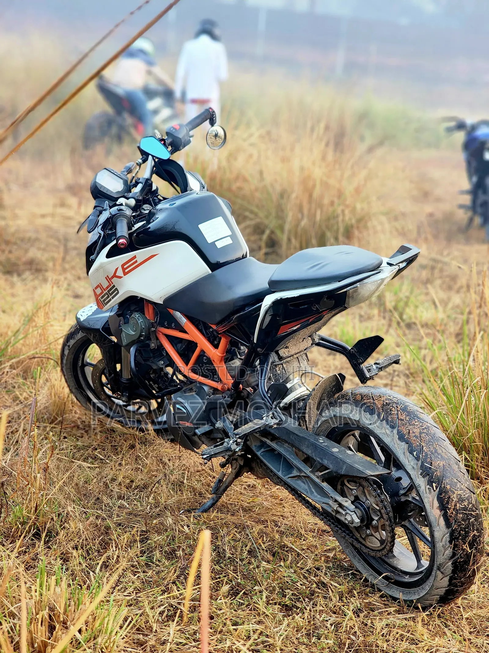 KTM Duke 125 2022 White