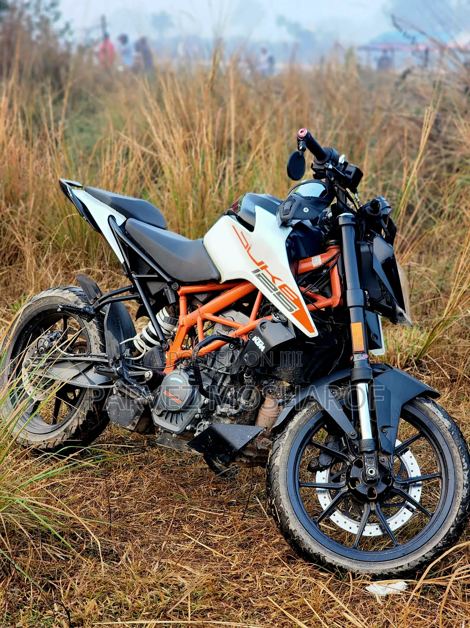 KTM Duke 125 2022 White