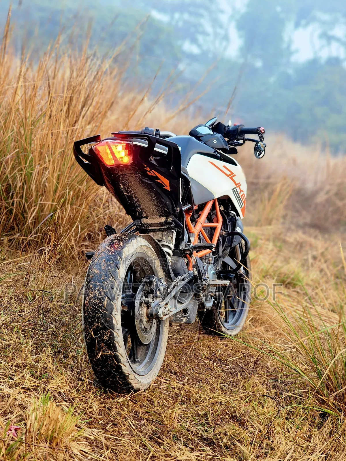 KTM Duke 125 2022 White