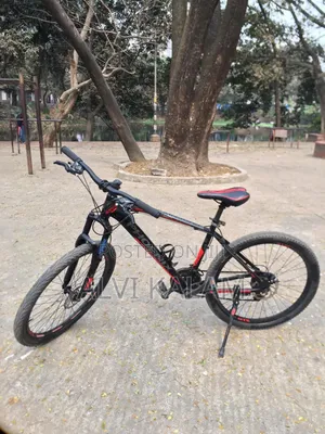 ফিনিক্স সাইকেল