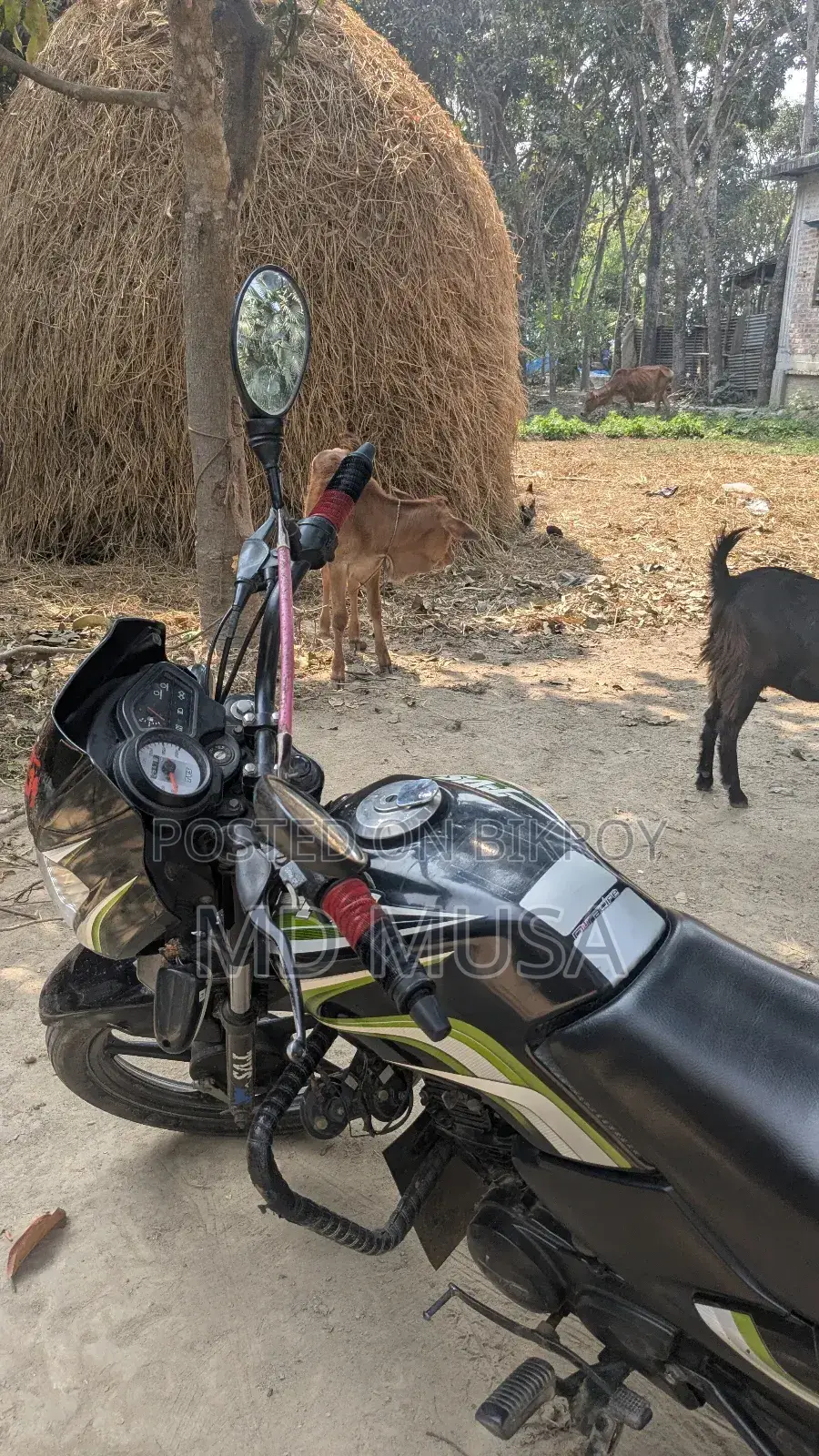 TVS Metro 2017 Black
