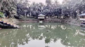 জমি বিক্রি (রূপগঞ্জ)৫শতক