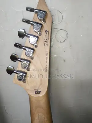 ইএসপি এলটিডি গিটার
