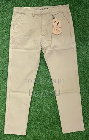 American Eagle Twill Pant