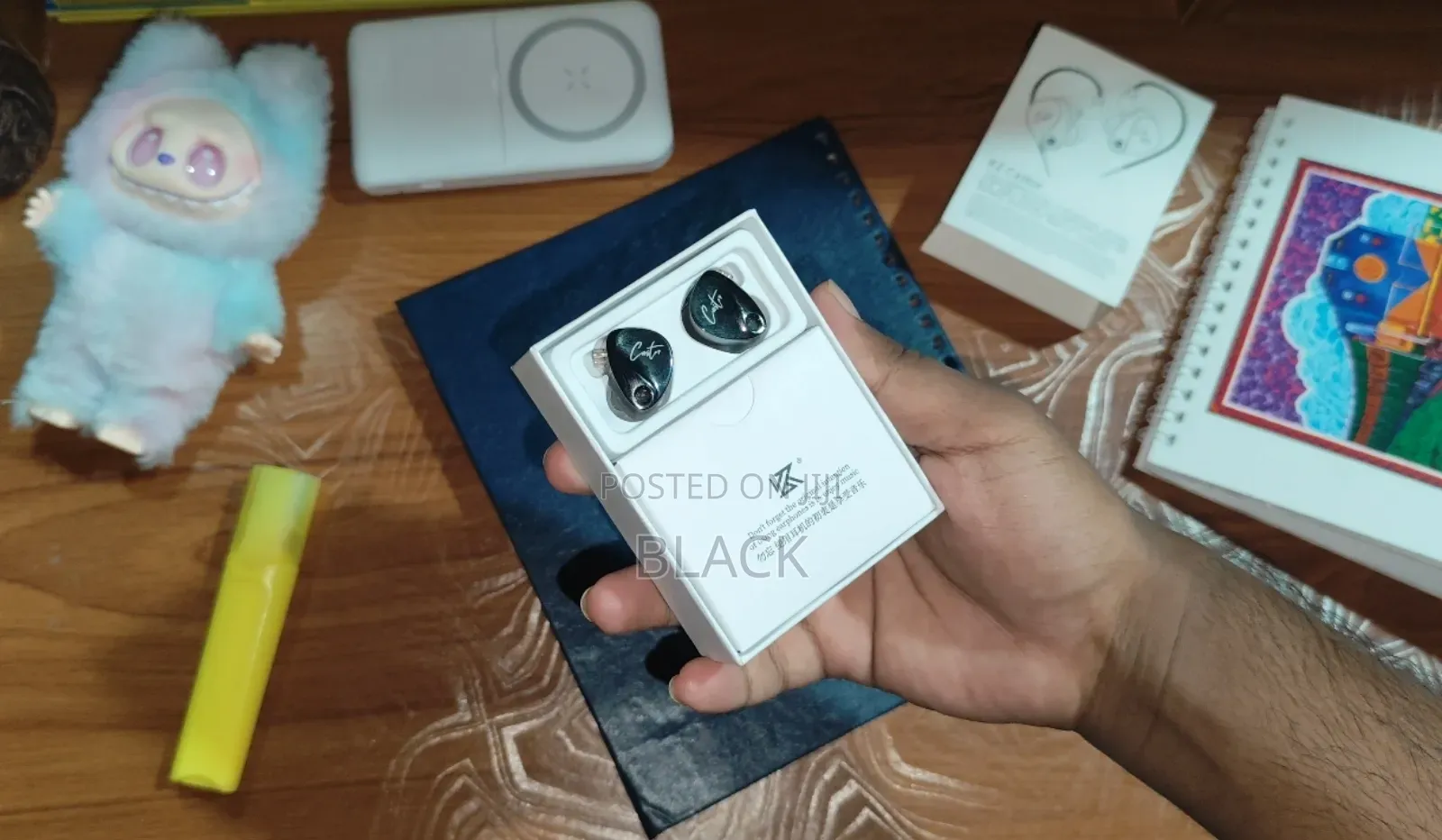 Kz Castor IEM Earphone