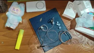 Kz Castor IEM Earphone