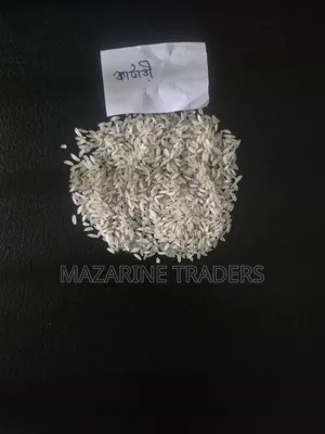 কাটারি চাল