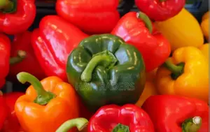 ক্যাপসিকাম সবজি