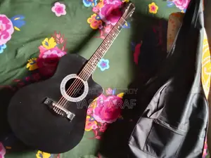 Acoustic Guitar