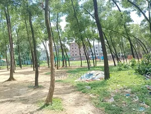 আকর্ষণীয় মুল্য জমি বিক্রি করা হবে