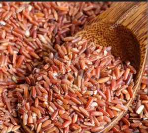Read Rice to Sherpur