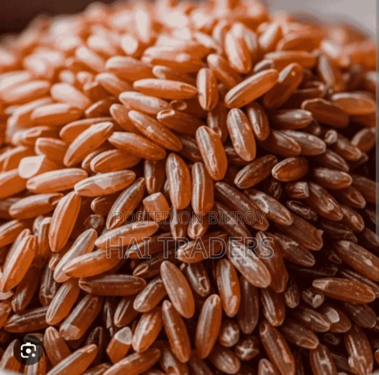 Read Rice to Sherpur