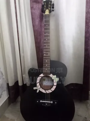 Insha Guitar (3 Months Old)