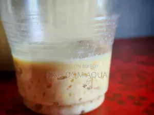 মাছের জীবন্ত খাবার