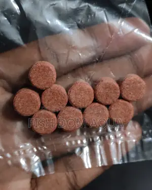 Brine Shrimp Tablet (Fish Food) 8tk Per Piece