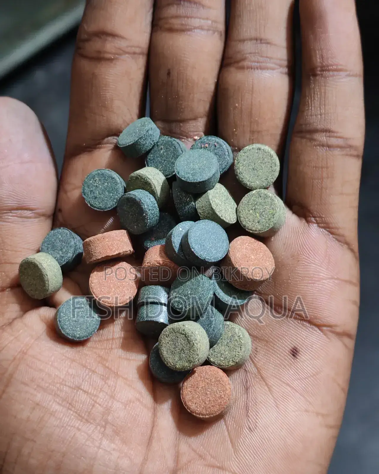 Brine Shrimp Tablet (Fish Food) 8tk Per Piece