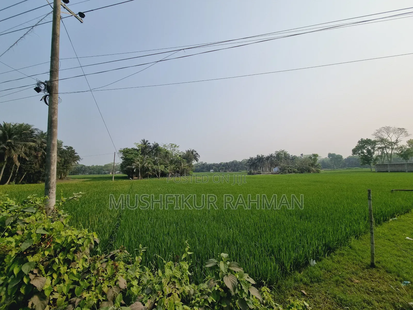 57.75 Decimal Land for Sale