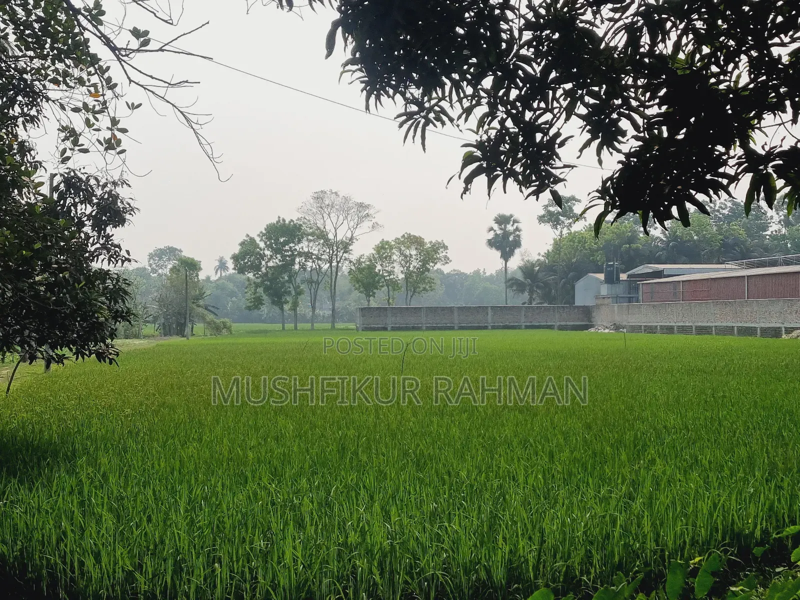 57.75 Decimal Land for Sale