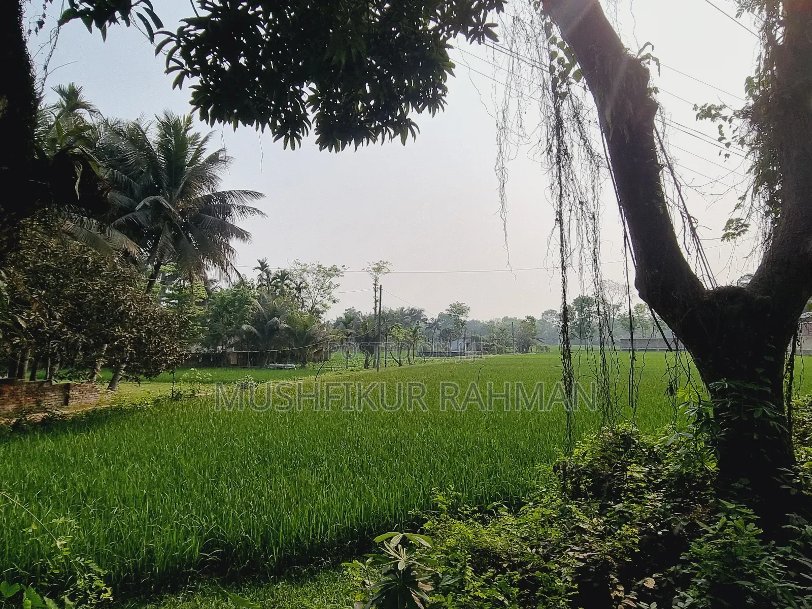 57.75 Decimal Land for Sale