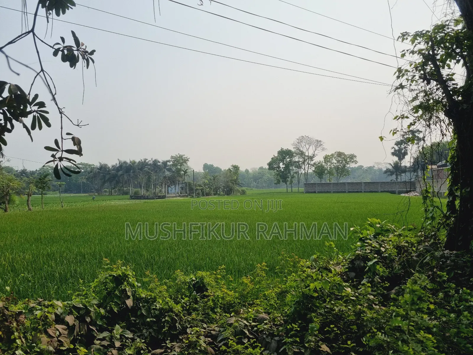 57.75 Decimal Land for Sale