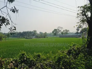57.75 Decimal Land for Sale