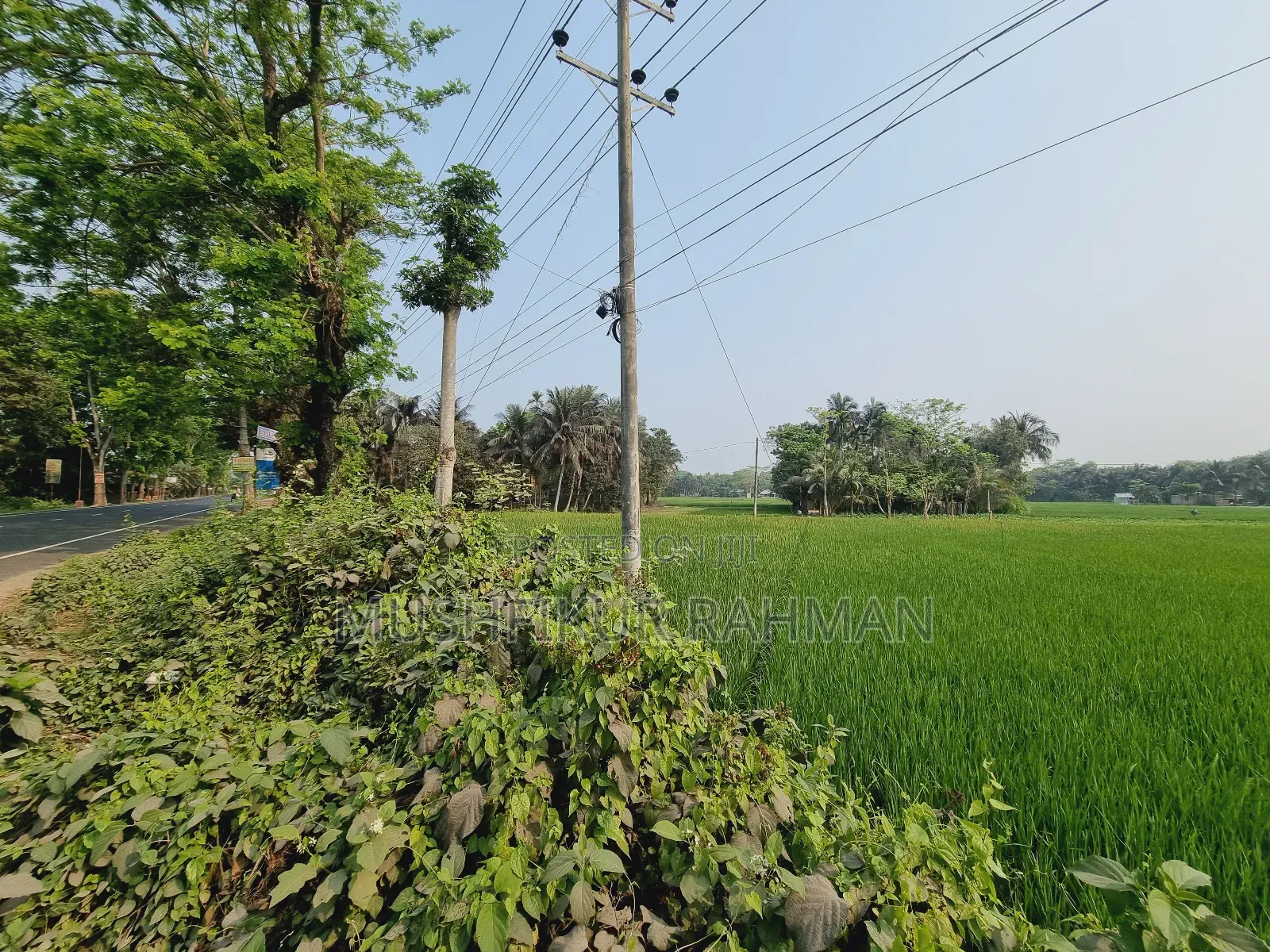 57.75 Decimal Land for Sale
