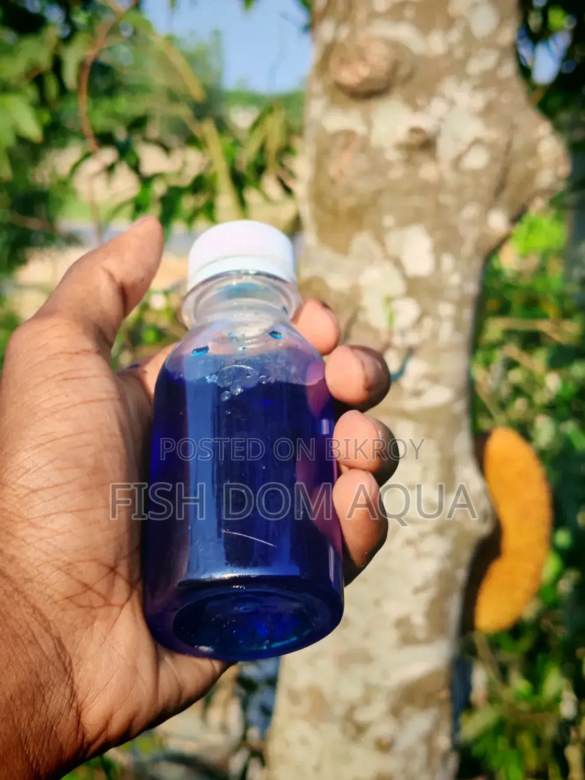Liquid Mithain Blue (100-1000) Ml