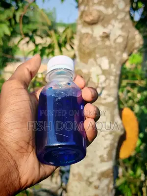 Liquid Mithain Blue (100-1000) Ml